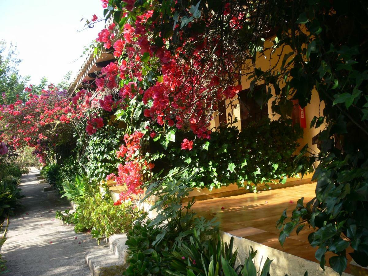 Landhuis Rural Predio Son Serra